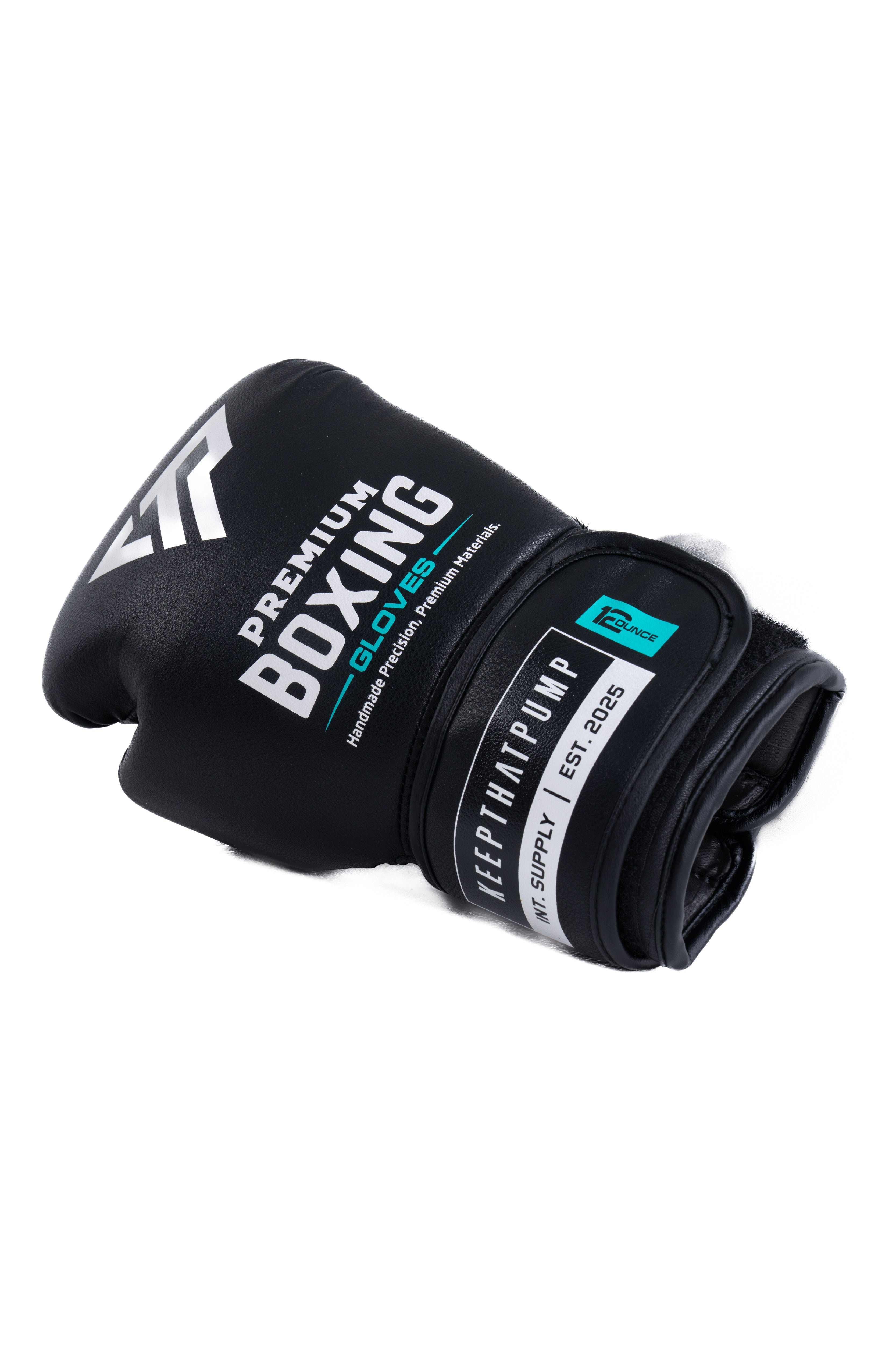 KTP BOXING GLOVE
